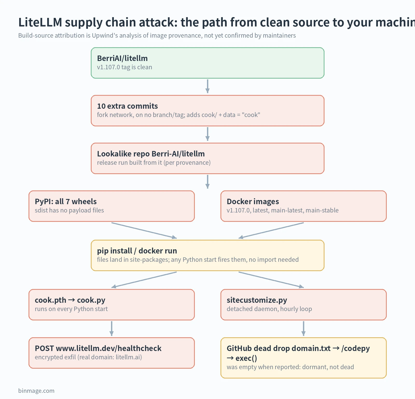 Attack path diagram of the LiteLLM supply chain attack: clean tag, fork-network commits, lookalike repo, PyPI wheels and Docker tags, cook.pth on Python start, exfiltration and hourly loader