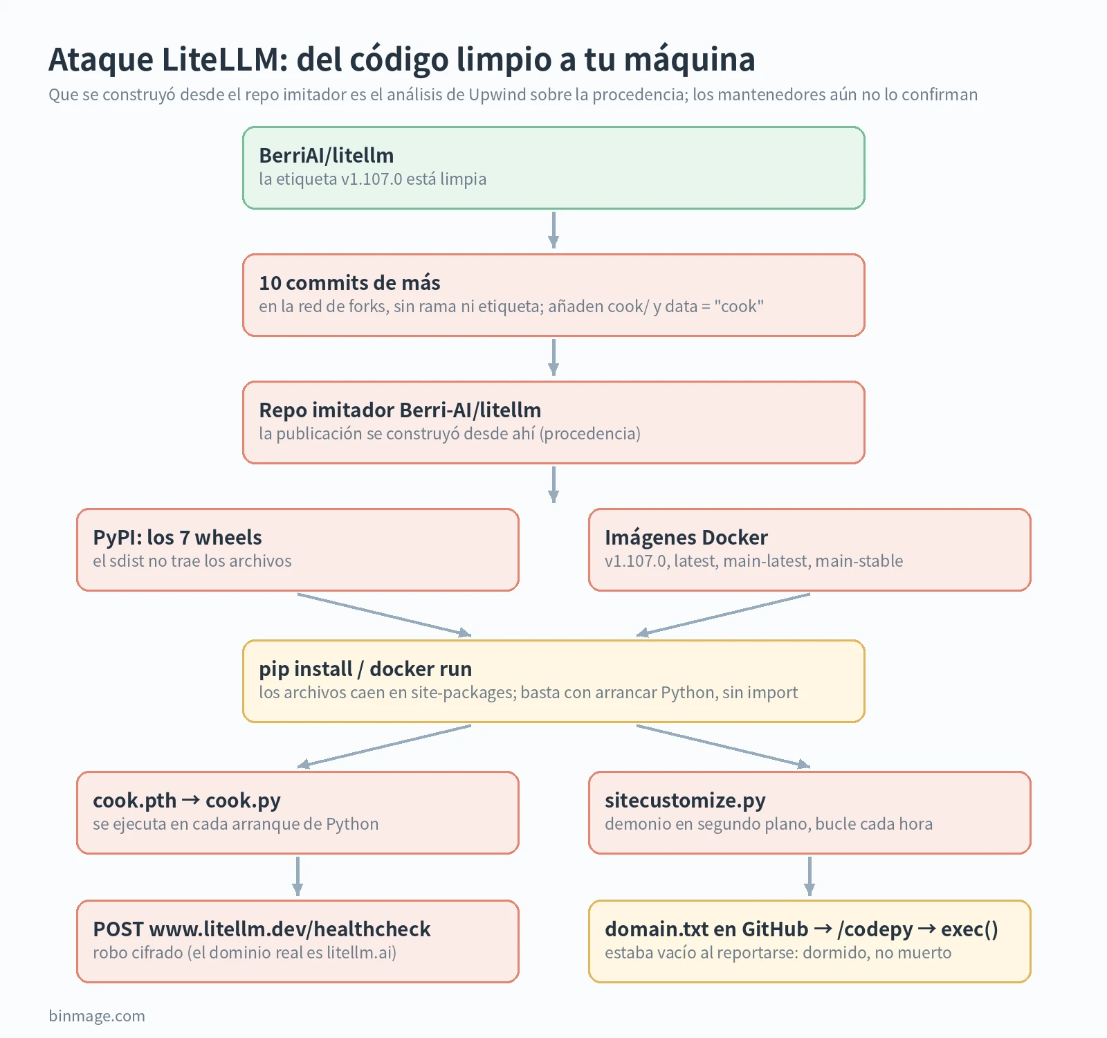 Diagrama del ataque LiteLLM: etiqueta limpia, commits en la red de forks, repo imitador, wheels de PyPI y etiquetas Docker, cook.pth al arrancar Python, robo de datos y cargador horario